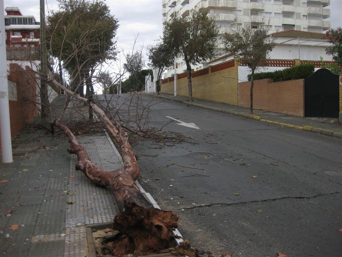 Daños Del Temporal En La Localidad De Punta Umbría (Huelva). 