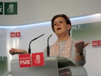 PSOE-A pide al PP-A una "campaña limpia" tras la "penosa" descalificación de Pons a los votantes socialistas