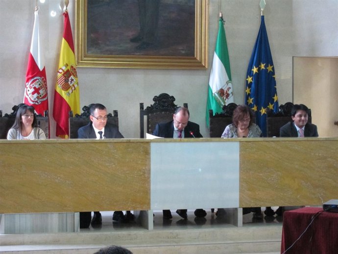 Pleno En El Ayuntamiento De Almería