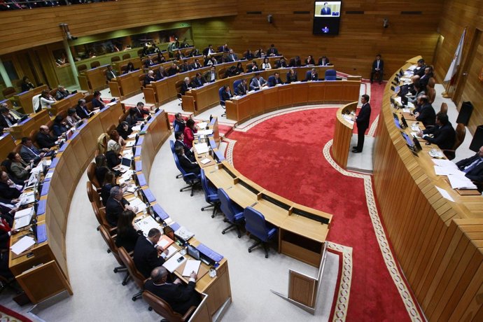 Debate En El Pleno Del Parlamento Gallego