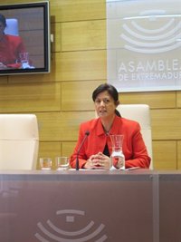 El PSOE sostiene que el debate sobre el Eje 16 pondrá de manifiesto que Extremadura "cumple" y "amplía" sus objetivos