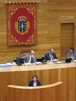 La conselleira de Sanidade, Pilar Farjas, en el Parlamento.
