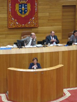 La conselleira de Sanidade, Pilar Farjas, comparece en el Parlamento.