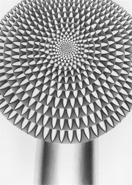 OBRA NIEVES Torralba