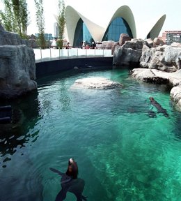 Oceanográfico de Valencia