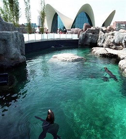 Oceanográfico de Valencia