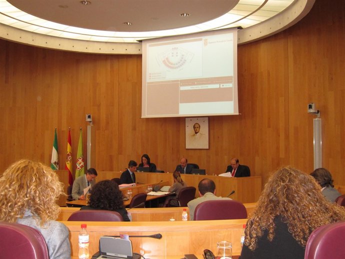 Pleno En La Diputación De Granada