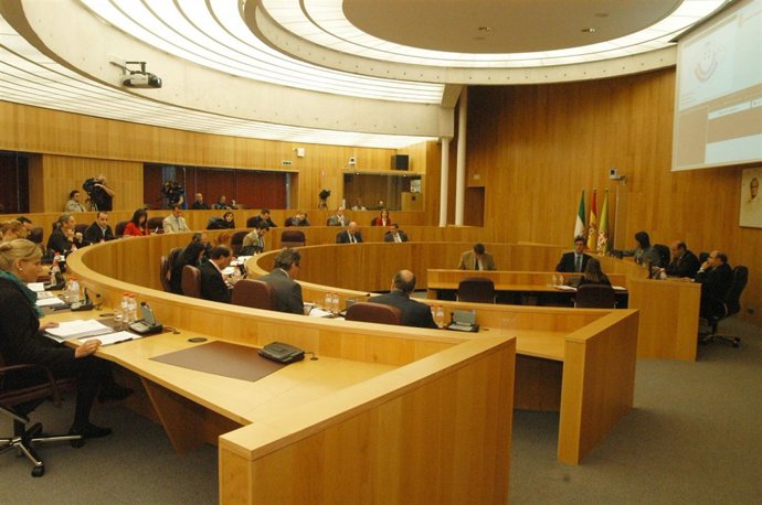 Fotos Pleno Provincial Celebrado Hoy