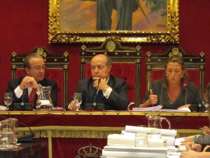 Pleno Del Ayuntamiento De Granada