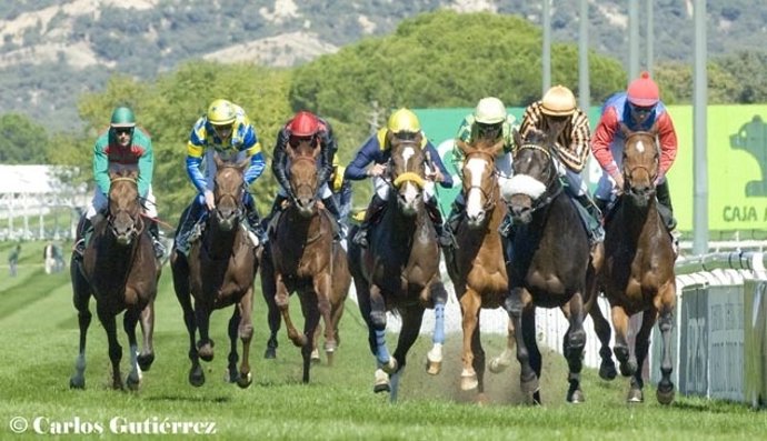 Turf Hipódromo La Zarzuela