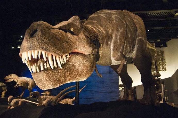 El Parque De Las Ciencias Acoge Una Muestra De Dinosaurios