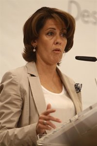 Barcina: la agresión en Toulouse viene de la izquierda abertzale