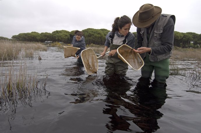 Investigación En Doñana.