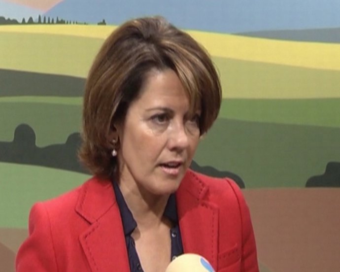 Todos salvo Bildu condenan la agresión a Barcina