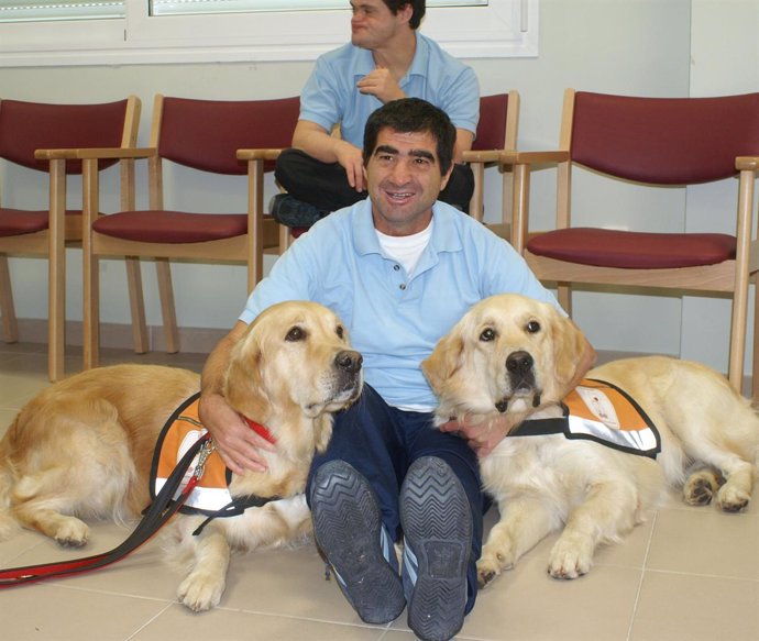 Perros Ayudan A Personas Con Discapacidad APMIB