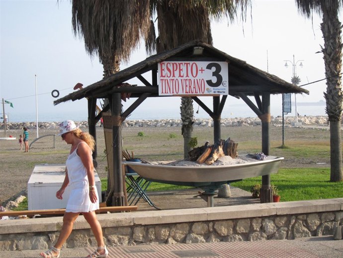 Turismo Málaga Espetos Plato Típico