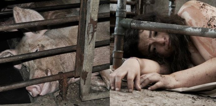 Performance Por El Día Del Veganismo