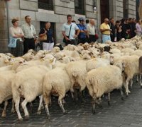 La Fiesta de la Trashumancia provocará desvíos en casi medio centenar de líneas de la EMT este domingo