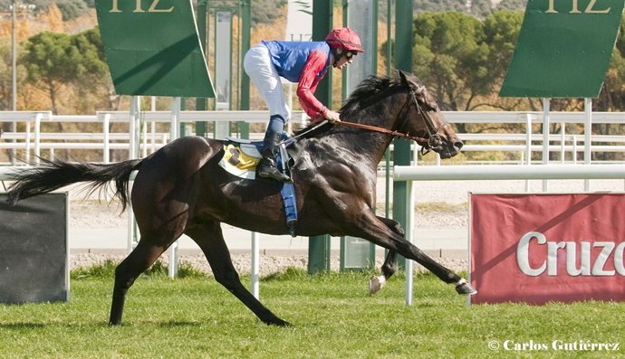 Abdel Gana En La Hípica De La Zarzuela