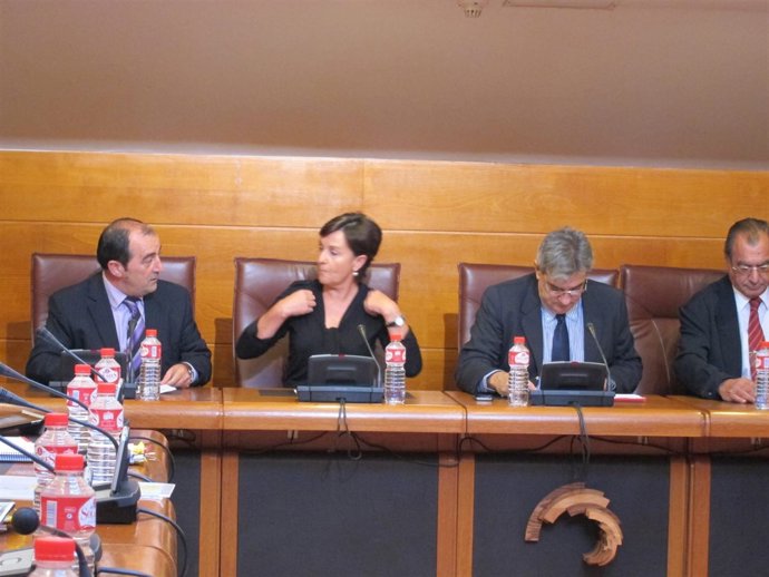 Gorostiaga En La Comparecencia