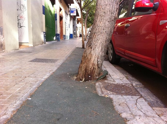 Alcorques En Monsalud