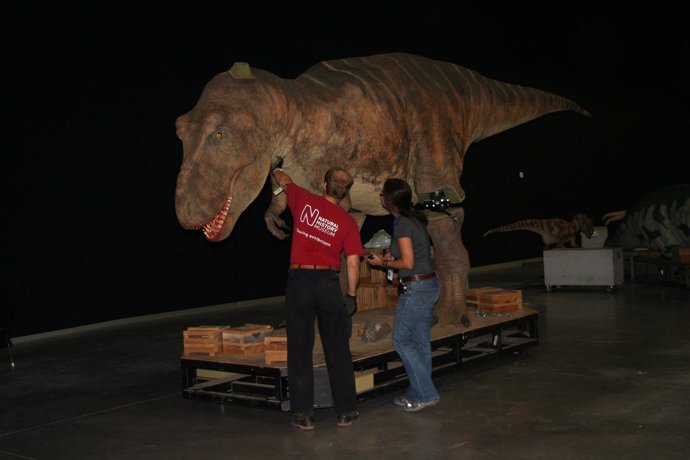 Expo Parque Ciencias Tyrannosaurus Rex