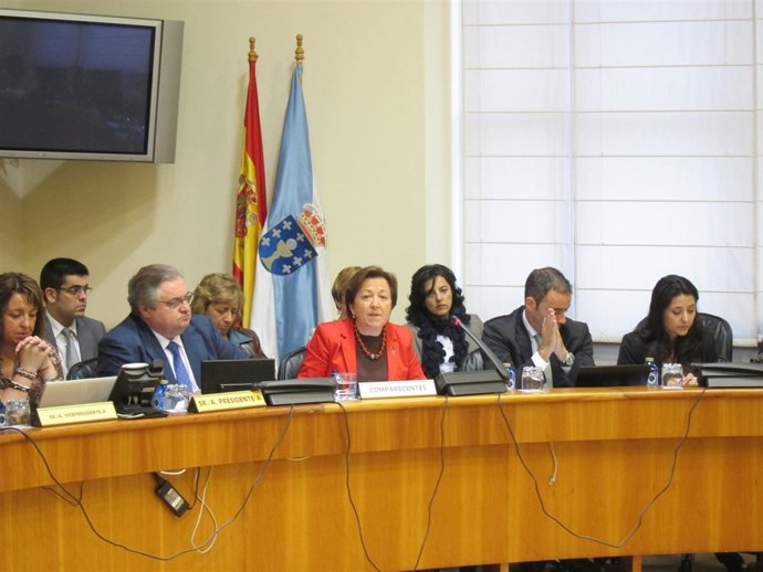 Foto Pilar Farjas Comparecencia Presupuestos Comisión Economía