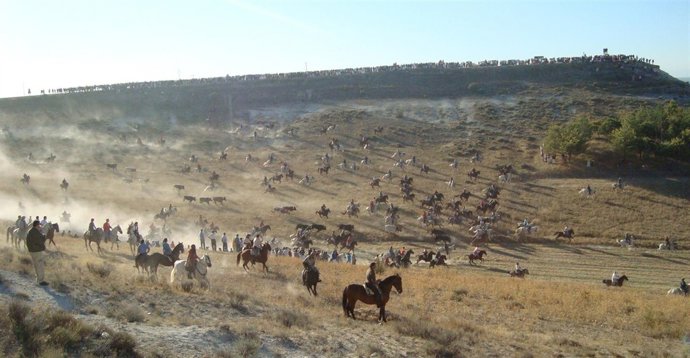 Encierro De Cuéllar