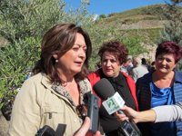 Moreno defiende las "cuentas claras y creíbles" de la Junta y ve "un disco rayado" las críticas de la oposición