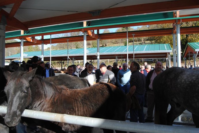 Gaspar Llamazares, Al Fondo