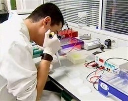 Taller De Biotecnología