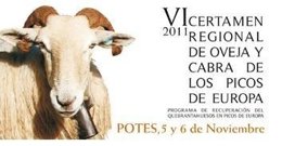 VI Certamen Regional De Oveja Y Cabra De Los Picos De Europa