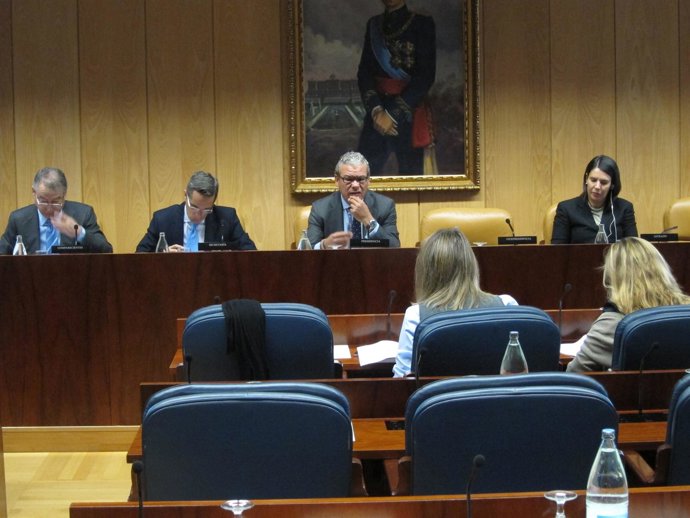 Comisión De Telemadrid En La Asamblea De Madrid