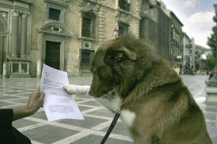 Brum Leyendo La Sentencia Por La Muerte De Coque
