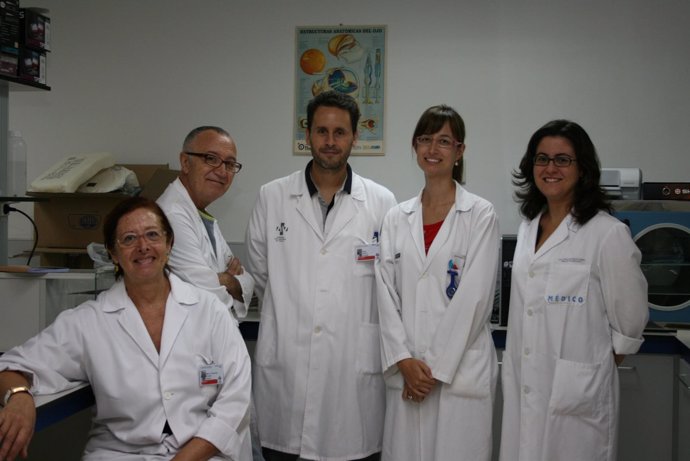Grupo De Investigación Del Peset En El Desarrollo De La Retina