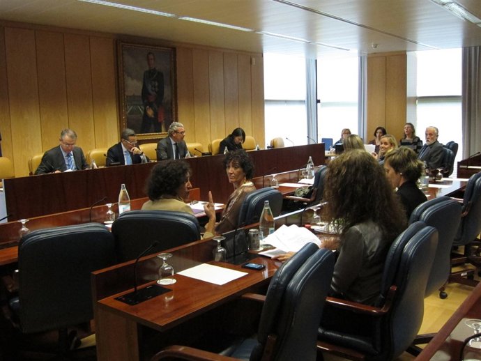 Comisión De Telemadrid En La Asamblea De Madrid