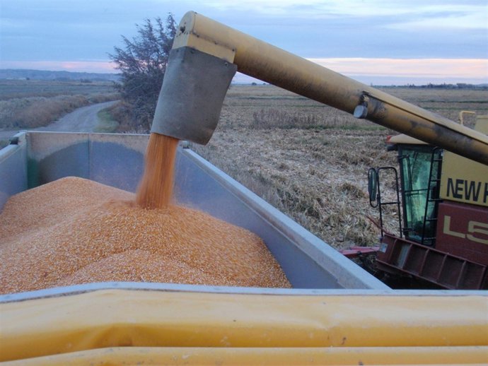 La Finca De La Alfranca