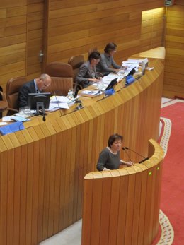 La Conselleira De Sanidade, Pilar Farjas, En El Pleno.