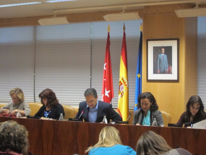 Comisión De Vigilancia De Las Contrataciones De La Asamblea De Madrid