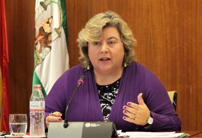 Clara Aguilera, Este Jueves En Comisión Parlamentaria
