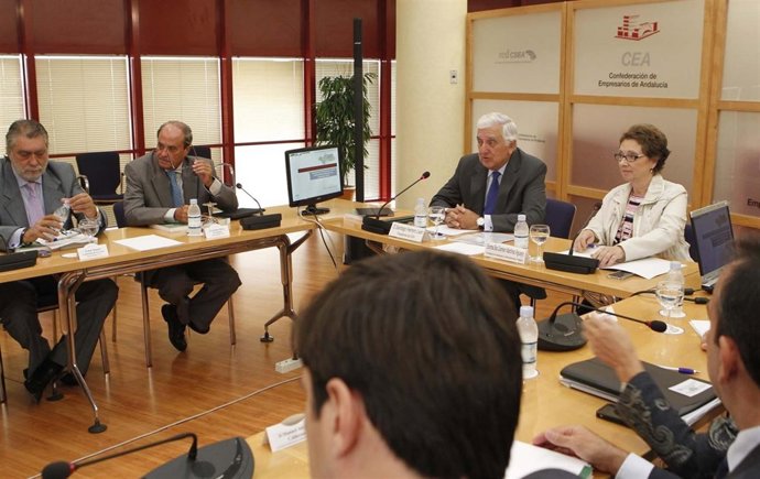Carmen Martínez Aguayo Presentando Los Presupuestos A La CEA