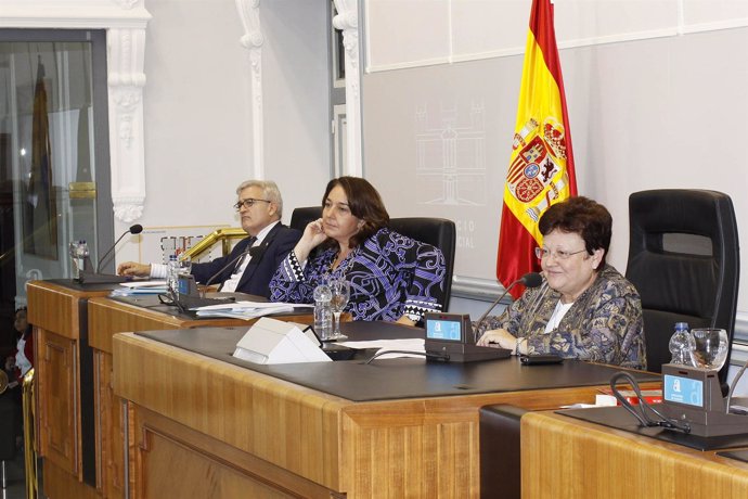 Imagen De La Presidenta De La Diputación, Luisa Pastor, En El Pleno De Noviembre