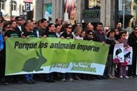 PACMA: la ley animal de Aguirre "sólo planteaba medidas ridículas"