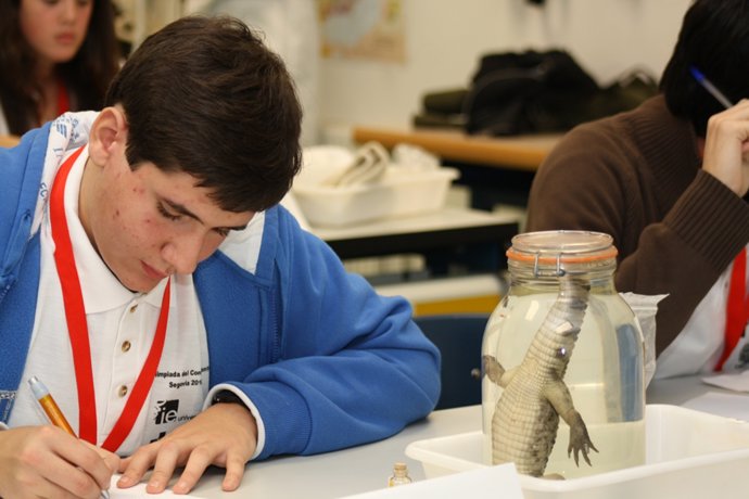 Alumno Participante En La Pasada Olimpiada