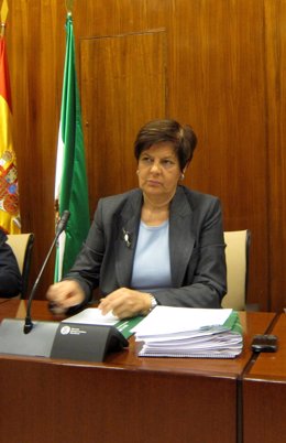 La Consejera De Obras Públicas Y Vivienda, Josefina Cruz, Hoy En El Parlamento.