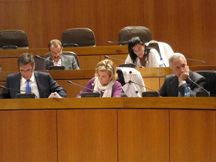 Dolores Serrat En El Pleno De Hoy