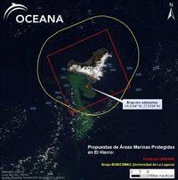 Oceana pide un área marina protegida alrededor de El Hierro para acelerar la recuperación tras la erupción marina