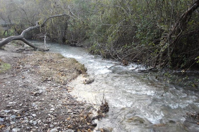 Un Río En La Sierra De Grazalema, En Cádiz