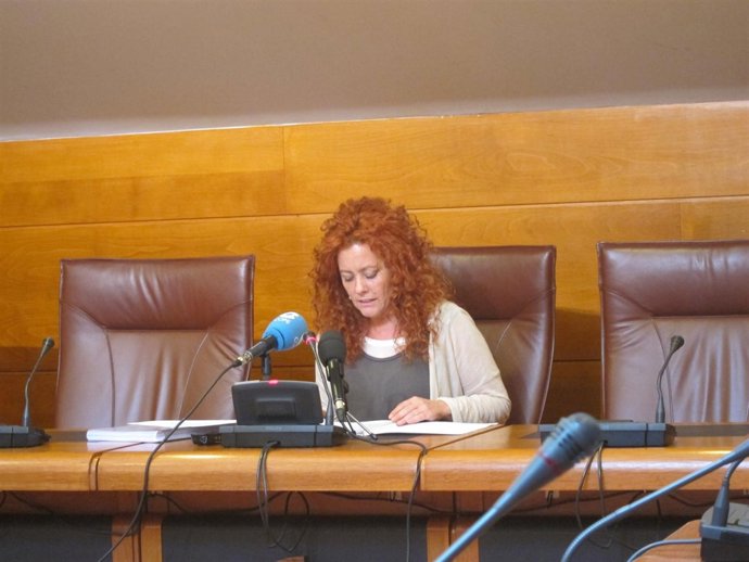 Tamara Fernández, Diputada PP