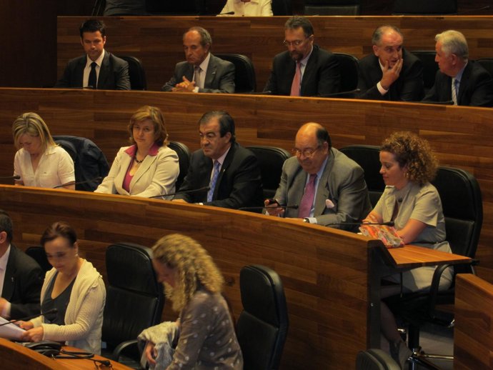 Francisco Álvarez-Cascos, En La Junta General